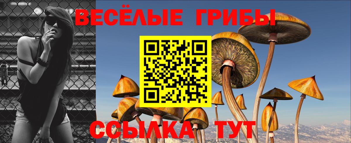 Галлюциногенные грибы мицелий Тара