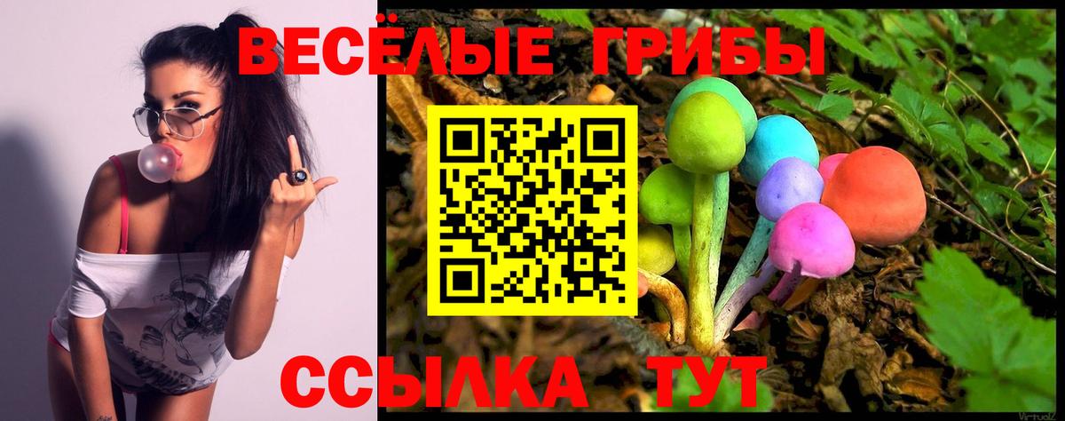 Псилоцибиновые грибы Magic Shrooms  Псилоцибиновые грибы прущие грибы  Вход с VPN  Тара 